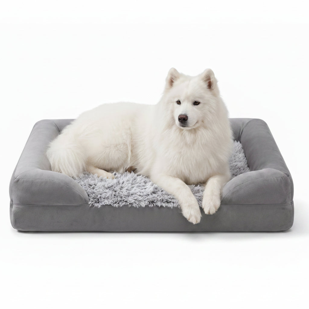 Plush Rectangle Orthopedic Dog Bed