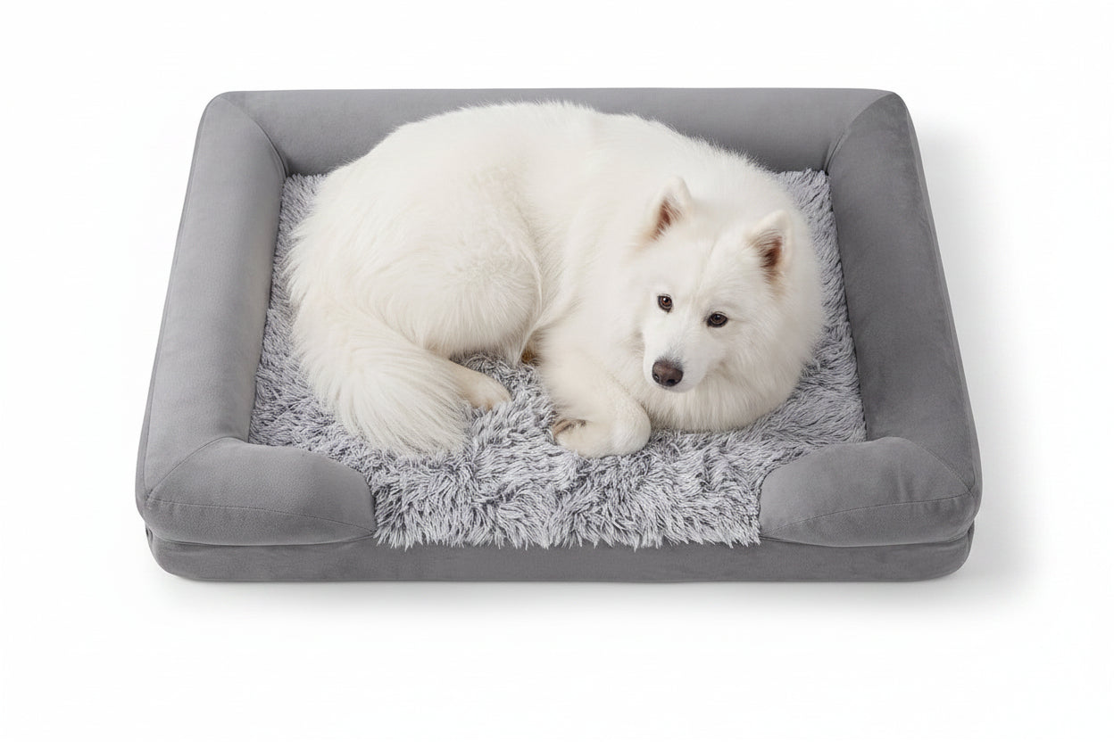Plush Rectangle Orthopedic Dog Bed