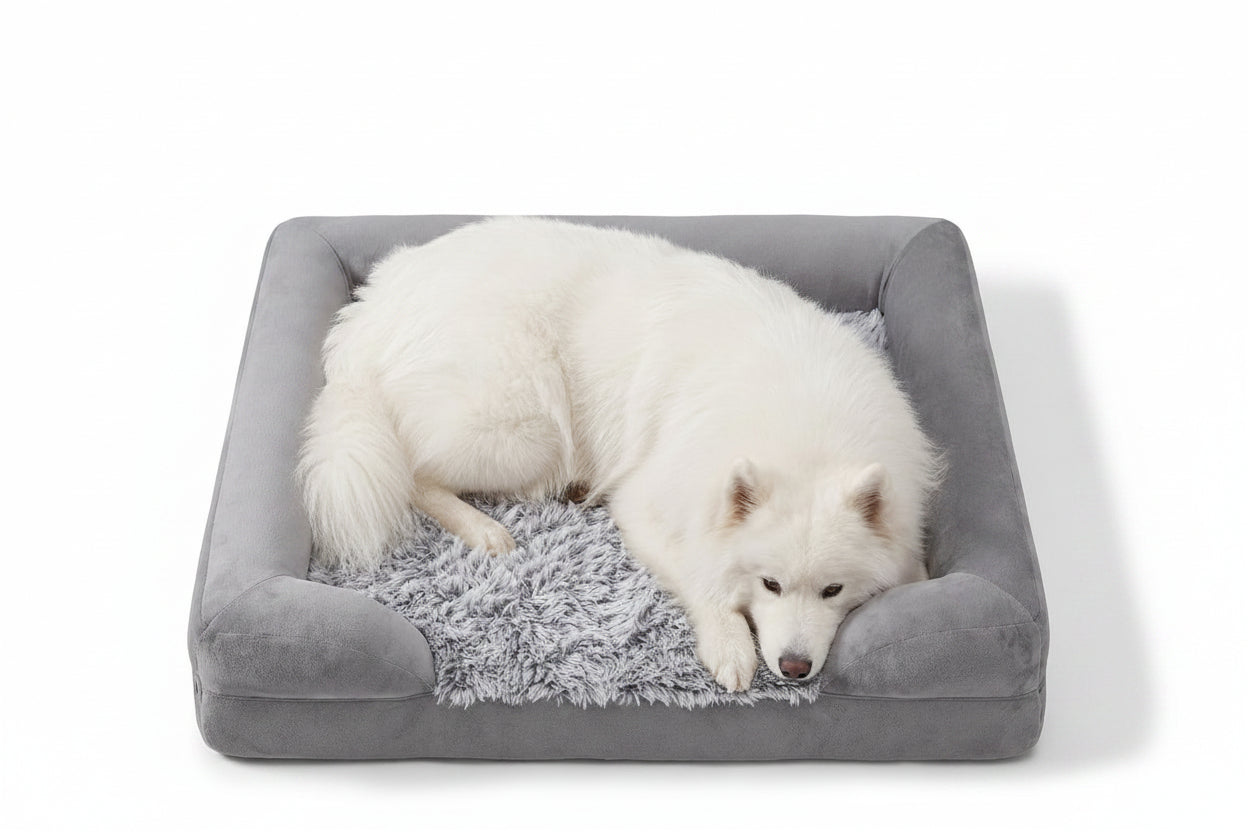 Plush Rectangle Orthopedic Dog Bed