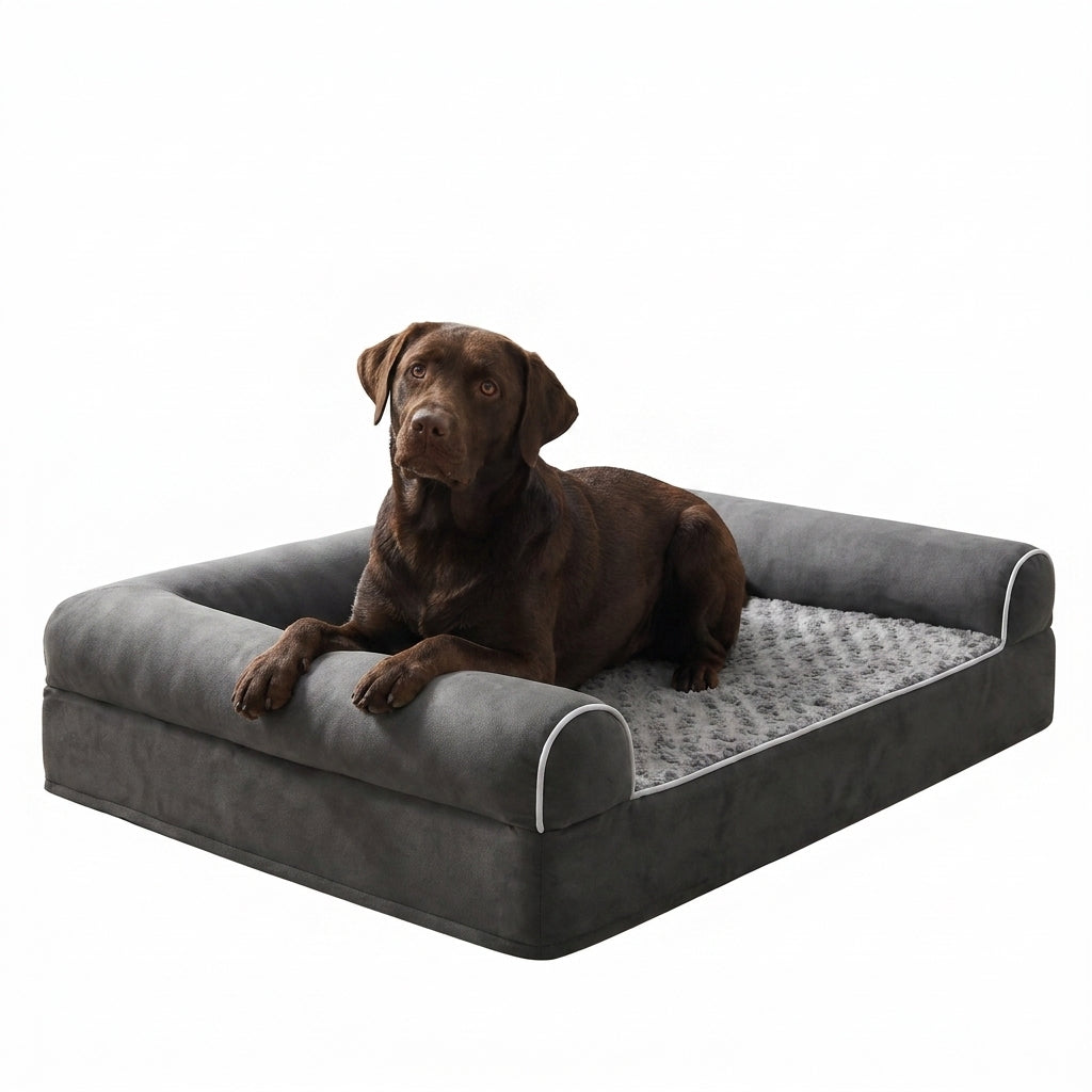 Layered Rectangle Orthopedic Dog Bed