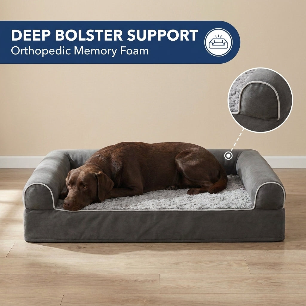 Layered Rectangle Orthopedic Dog Bed