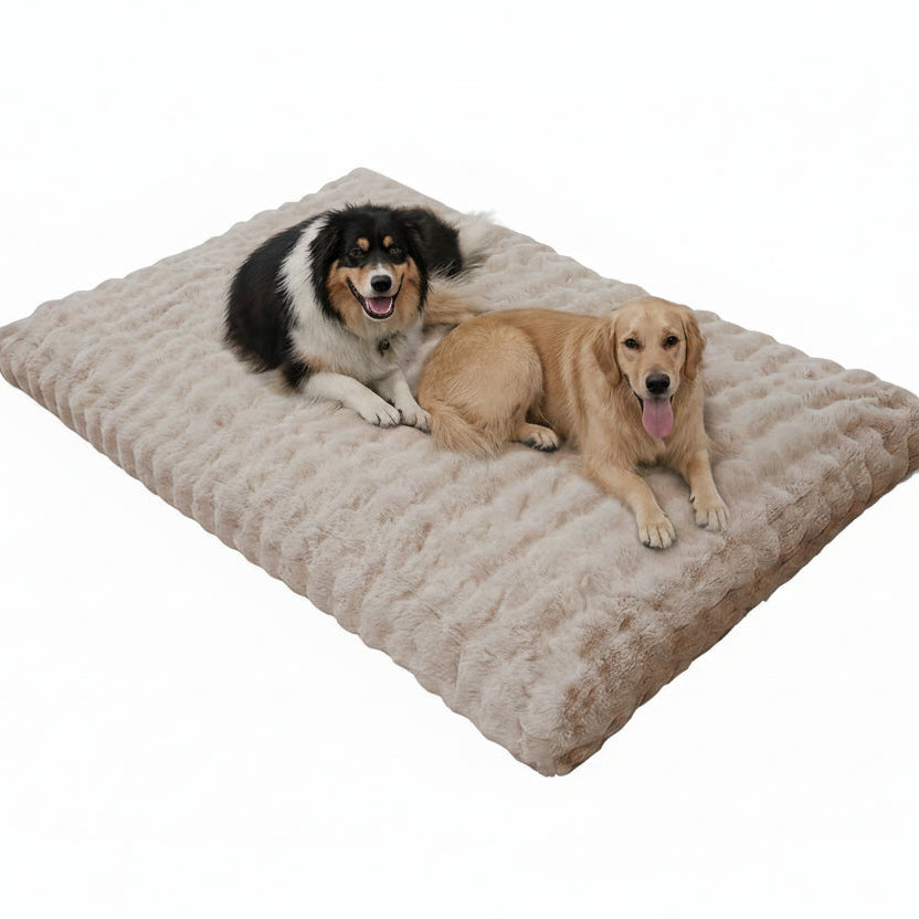 Waffled-Slab Cushion Orthopedic Dog Bed Mat